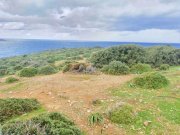 Pelagia Kreta, Ag. Pelagia, Grundstück 44.000m² mit unverbaubarem Meerblick Grundstück kaufen